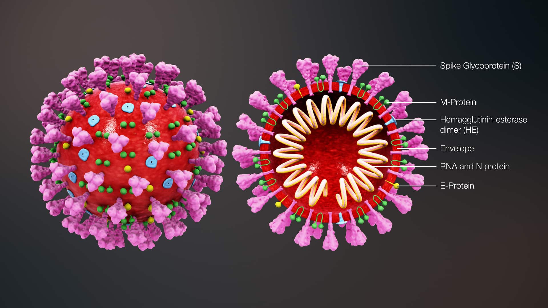 viêm phổi Vũ Hán, Virus COVID-19, robot nano sát thủ