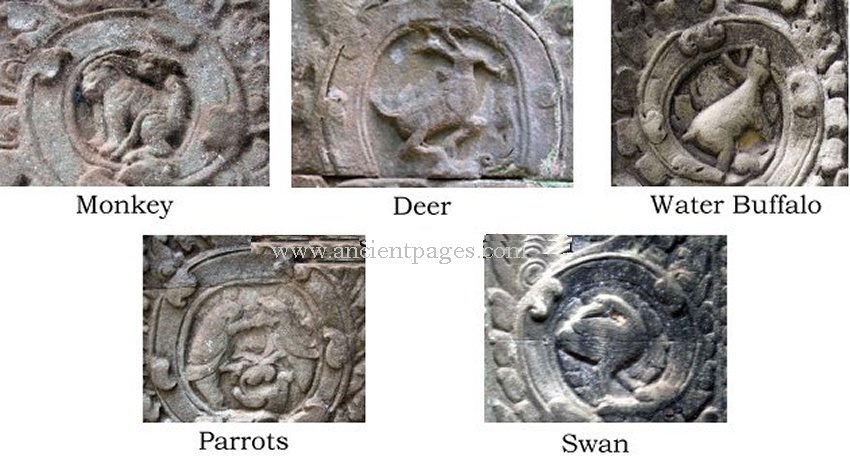 Một số hình động vật như khỉ, hươu, thiên nga, vẹt và trâu nước trên bức tường của đền Ta Prohm. (Ảnh qua Ancient Pages)